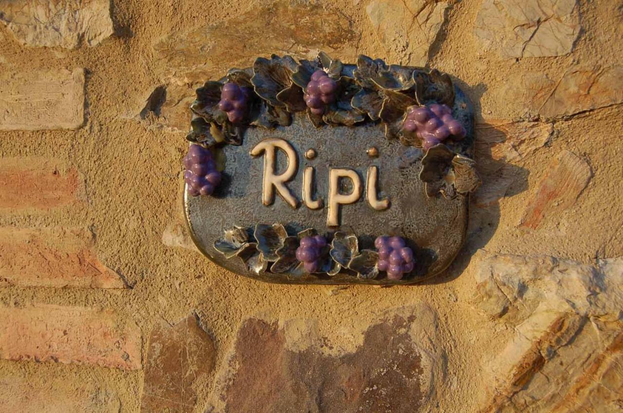 Podere Ripi فولتيرا المظهر الخارجي الصورة