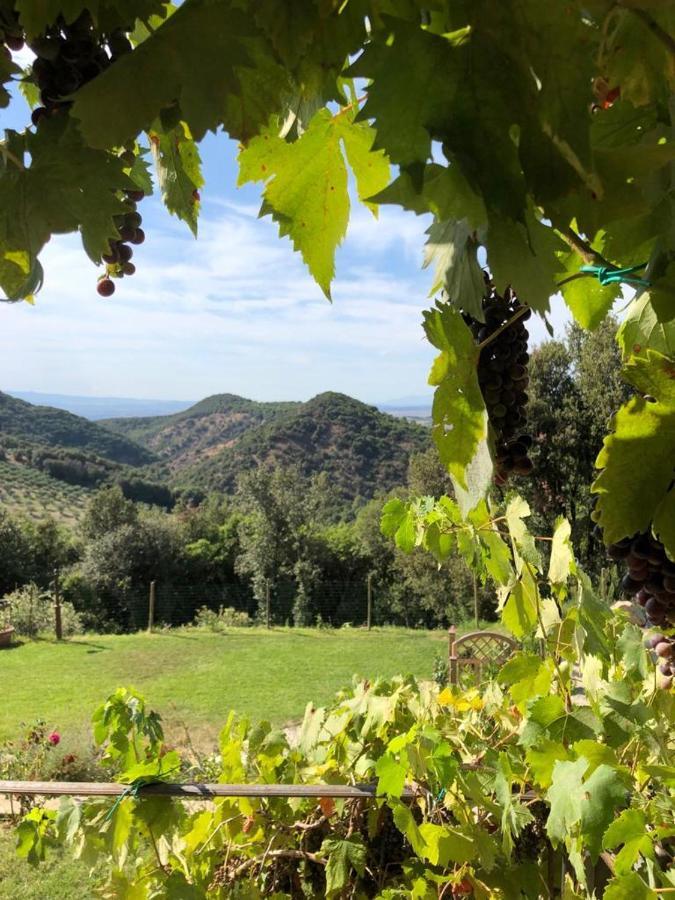 Podere Ripi فولتيرا المظهر الخارجي الصورة